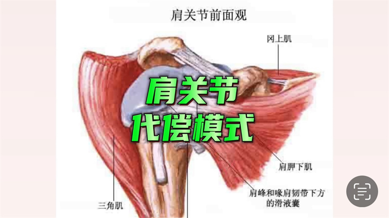 肩周训练 