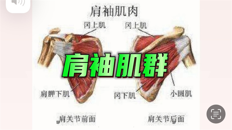 肩周训练 