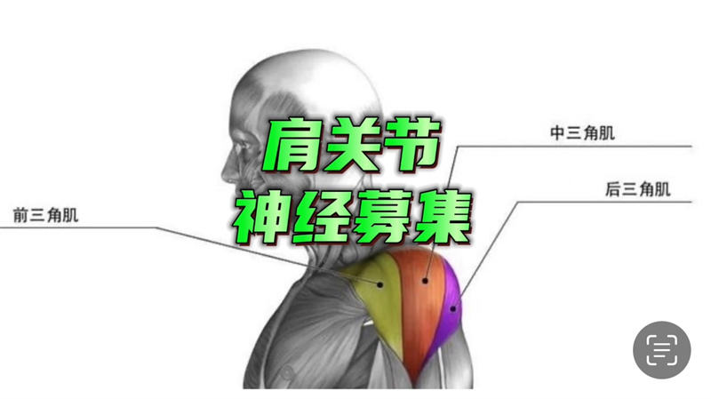 肩周训练